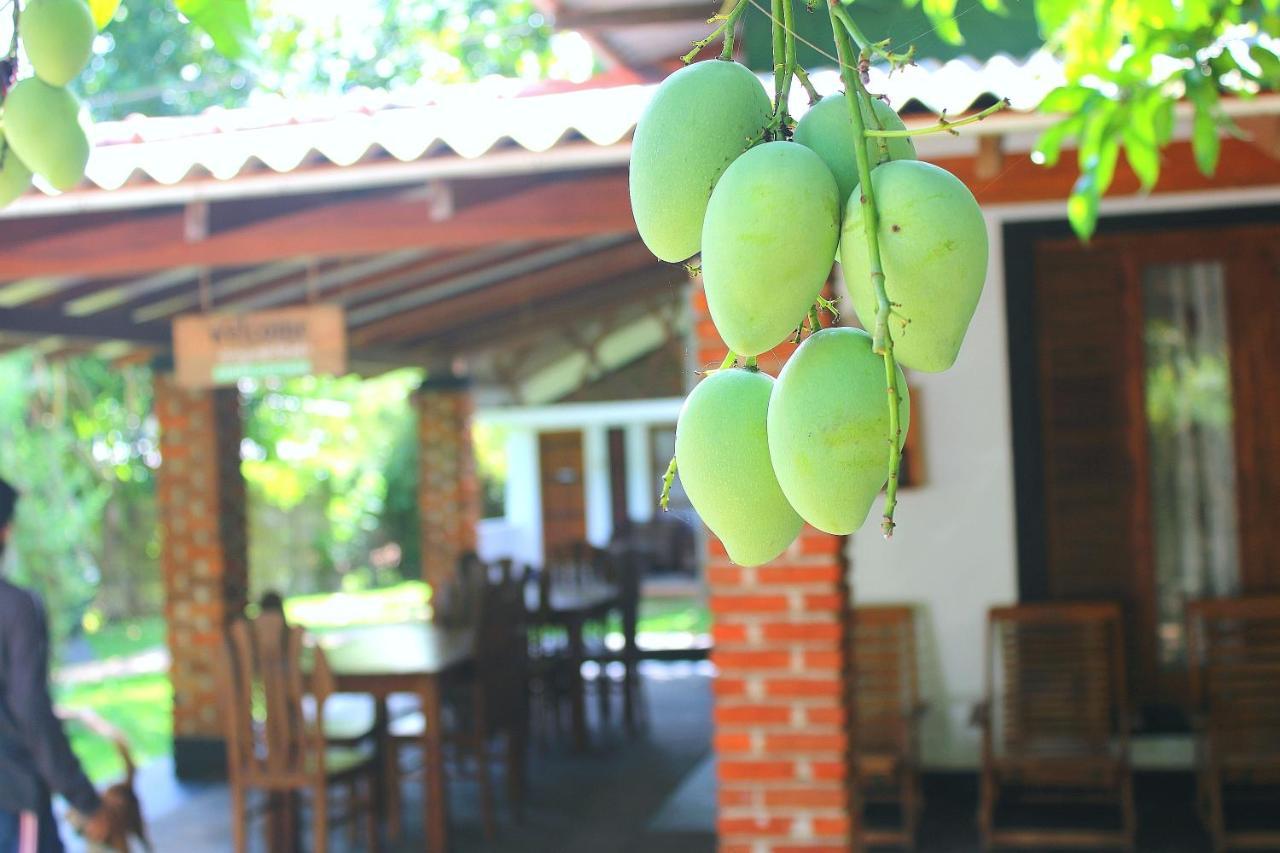 Green Cottage Anuradhapura Ngoại thất bức ảnh