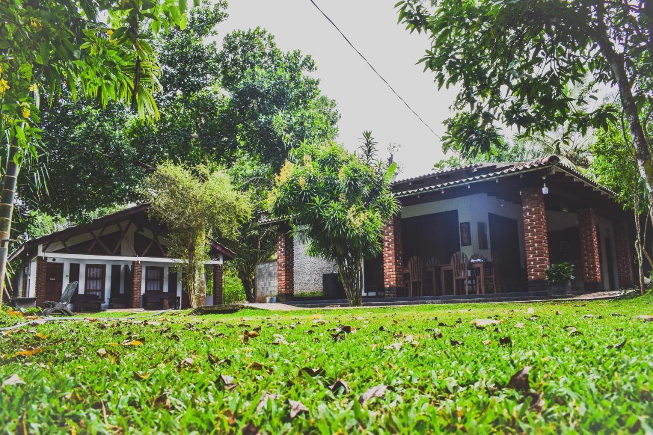 Green Cottage Anuradhapura Ngoại thất bức ảnh
