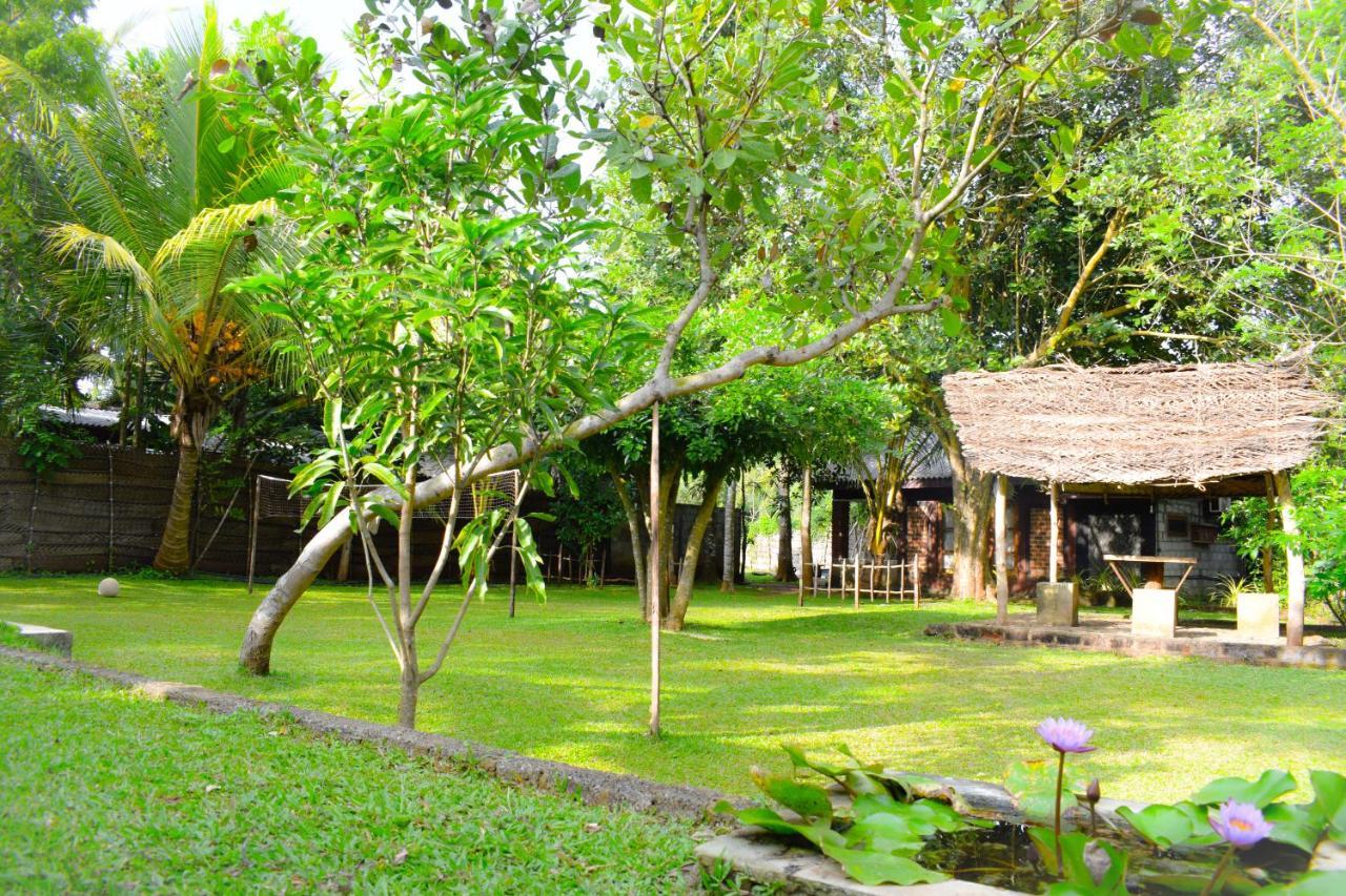 Green Cottage Anuradhapura Ngoại thất bức ảnh