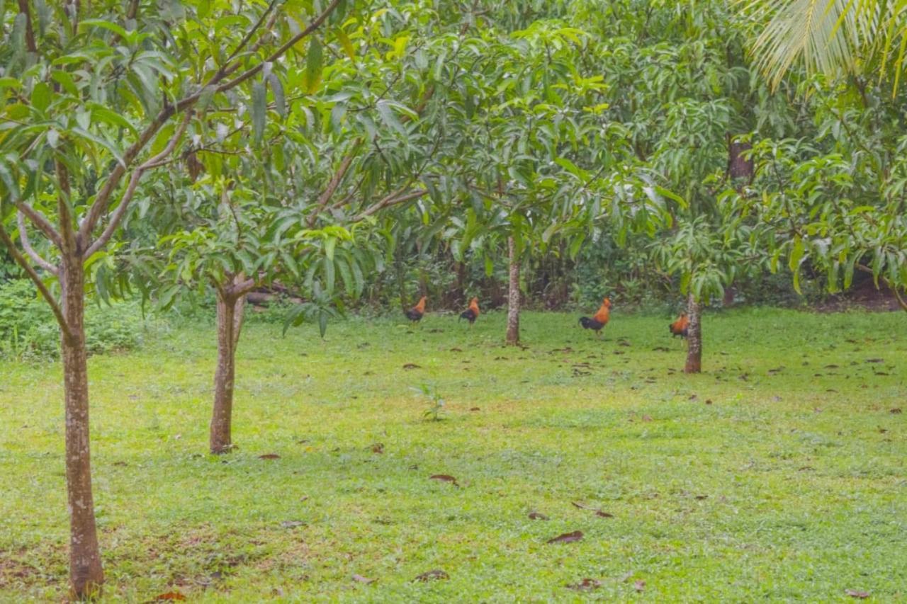 Green Cottage Anuradhapura Ngoại thất bức ảnh