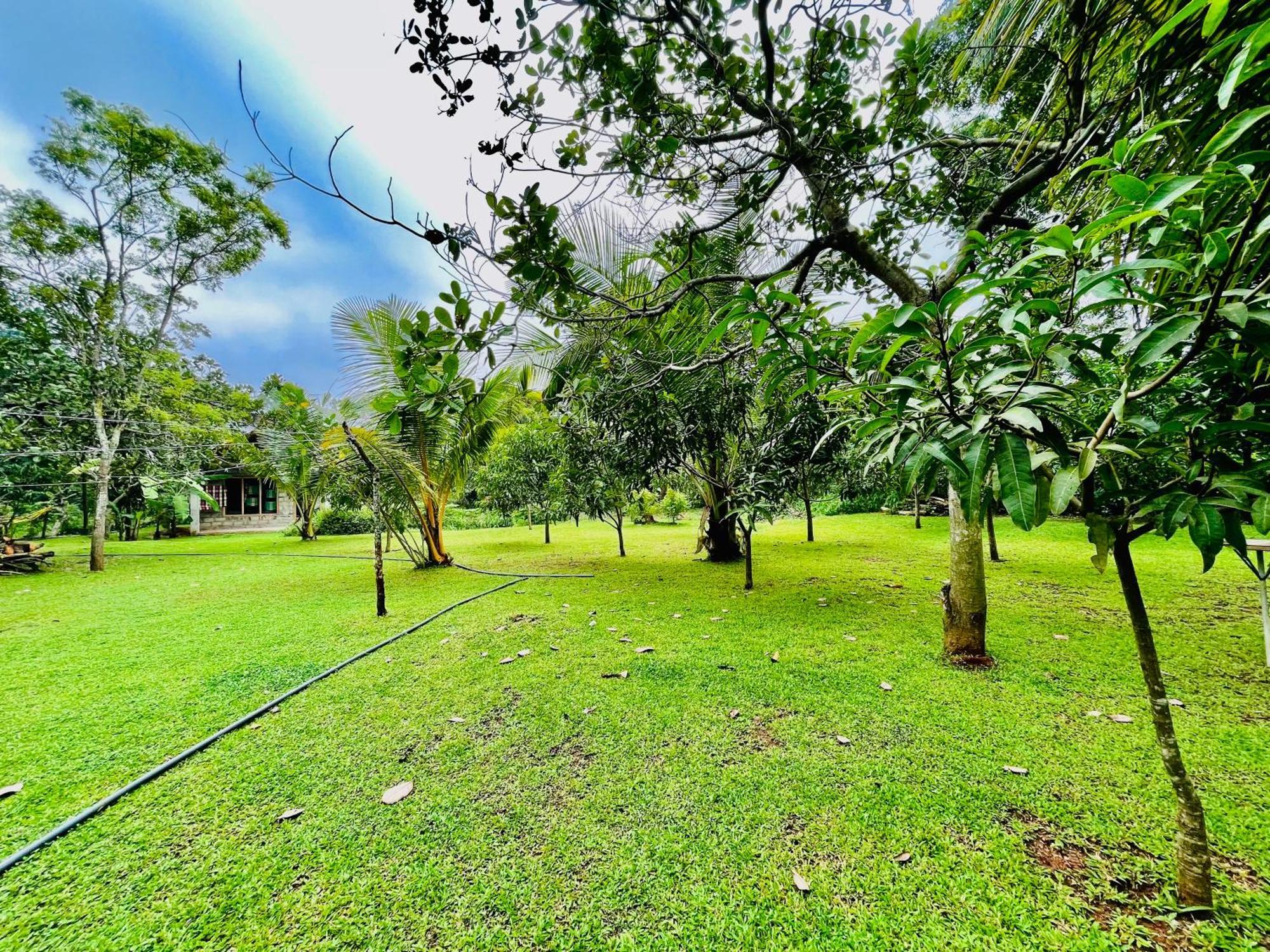 Green Cottage Anuradhapura Ngoại thất bức ảnh